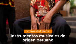 Lee más sobre el artículo Instrumentos musicales originarios del Perú